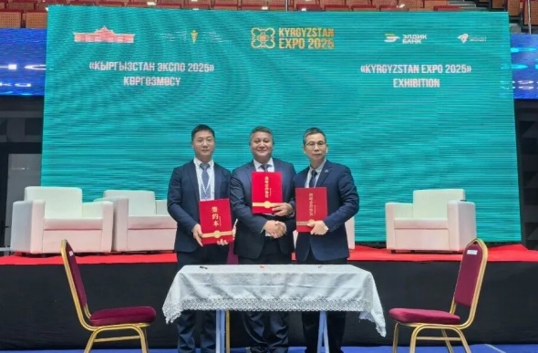 1763342184800245.jpg 640 (1)_副本.jpg